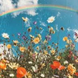 Meet your Posher, Addison